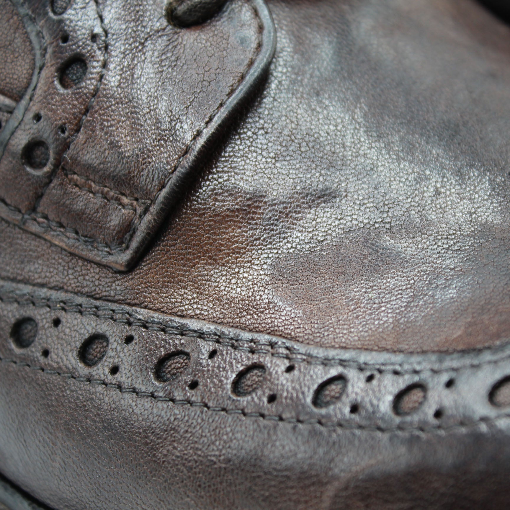 Avezzano Agnello Testa di Moro