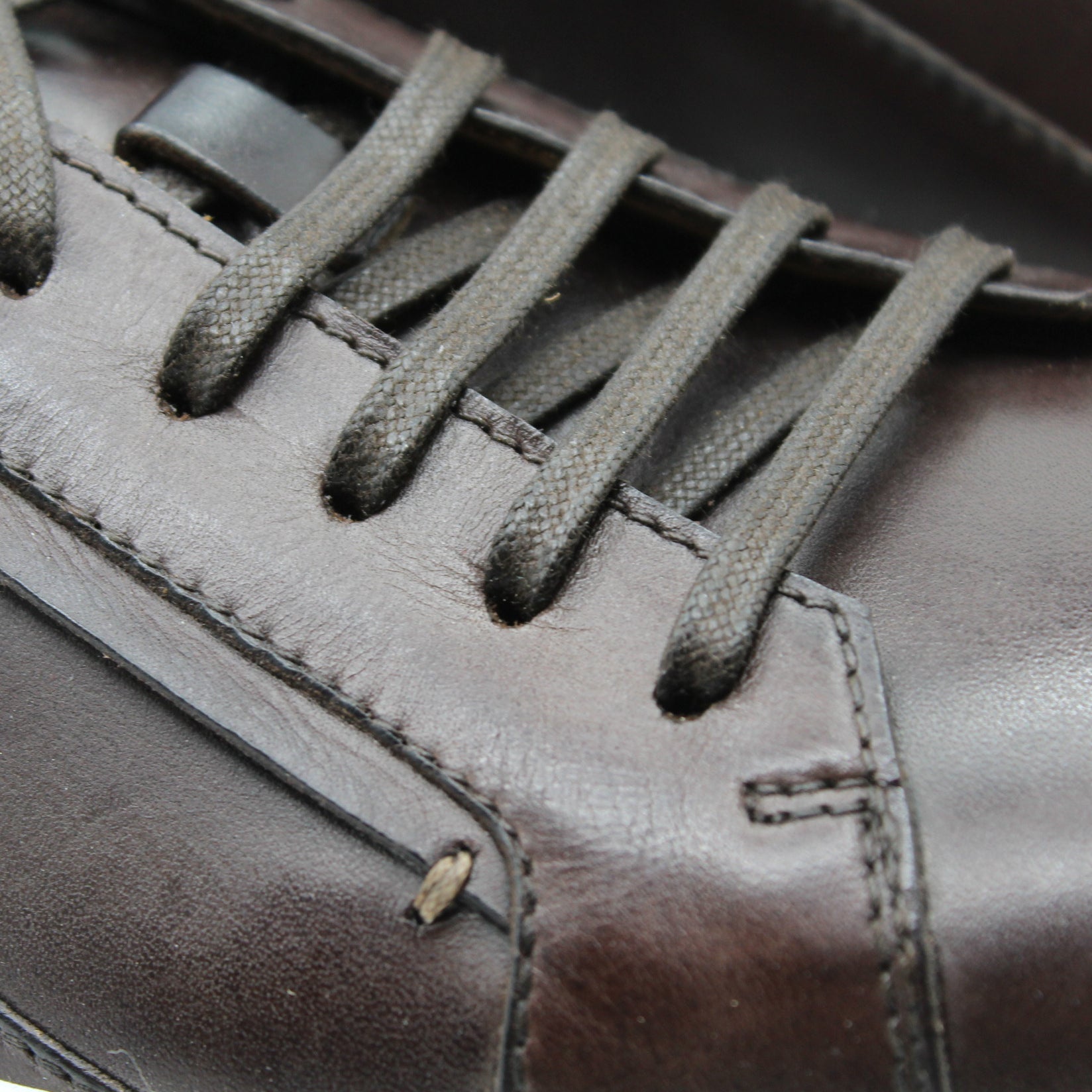 Urbino Leather Brown