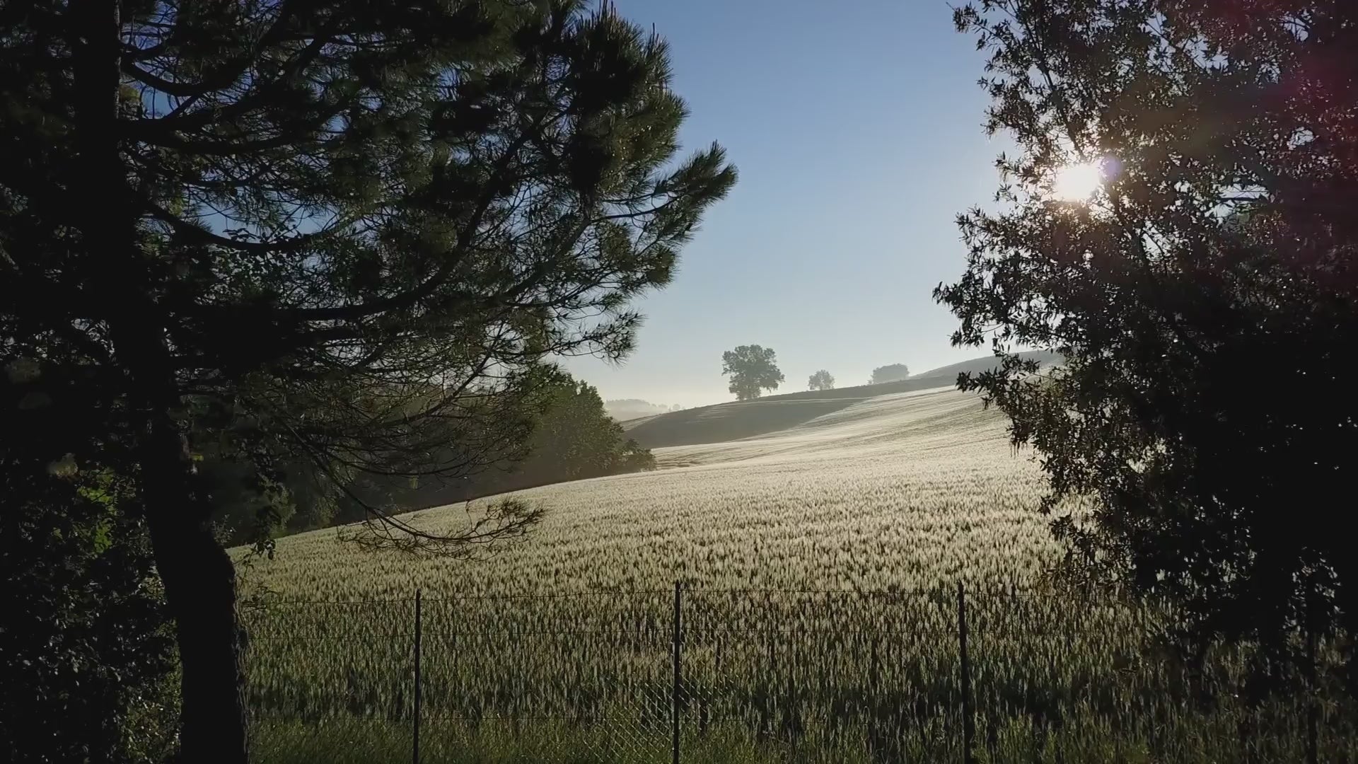 Carica il video: lancio-shoes-montegranaro-calzatura-artigianale
